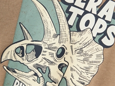 Name It weathered teak dinosaurus sweatshirt